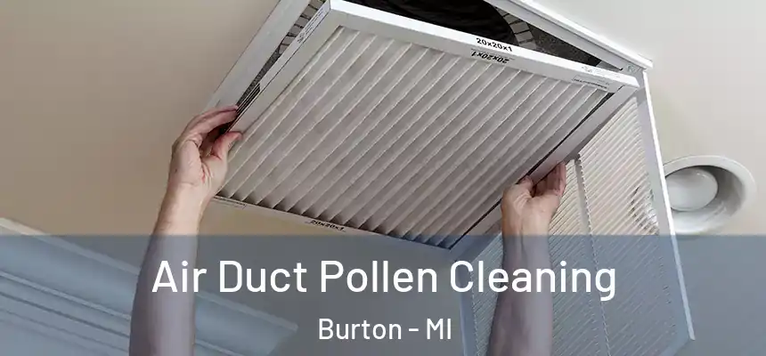 Air Duct Pollen Cleaning Burton - MI