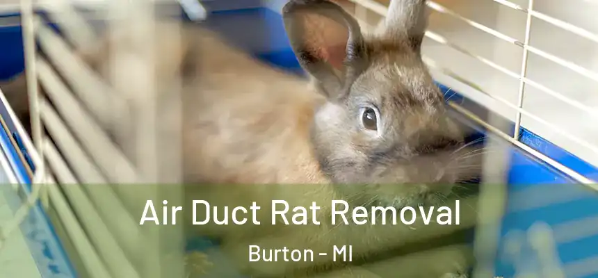  Air Duct Rat Removal Burton - MI