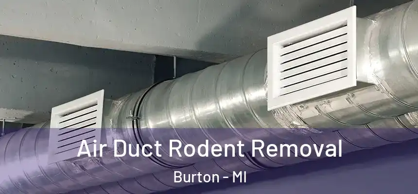  Air Duct Rodent Removal Burton - MI