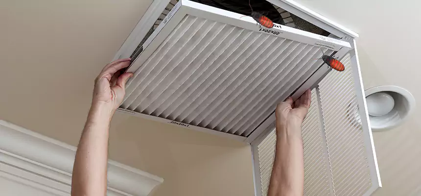 Preventive Cockroach-Proofing for Ducts in Burton