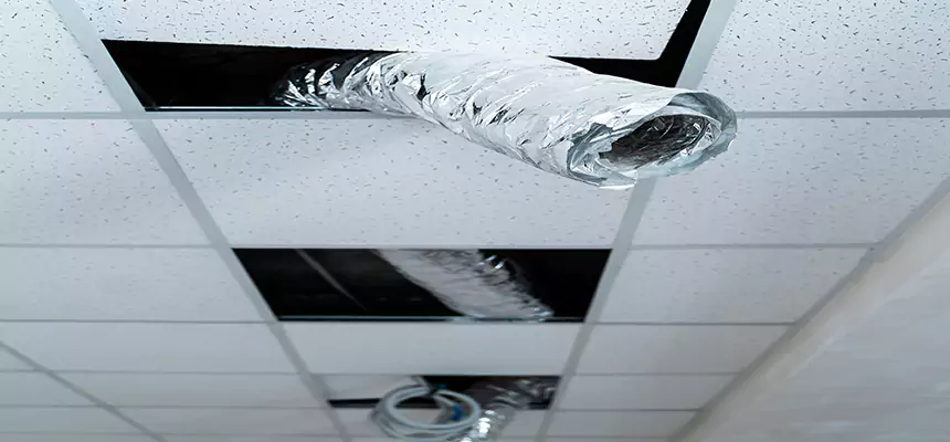 Affordable HVAC Sanitizing After Pest Removal in Burton