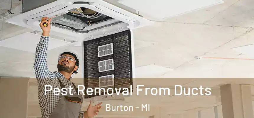  Pest Removal From Ducts Burton - MI