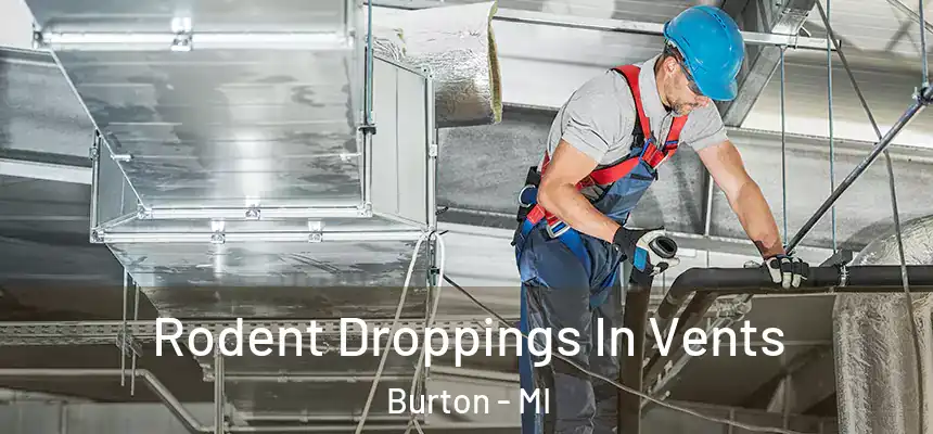  Rodent Droppings In Vents Burton - MI