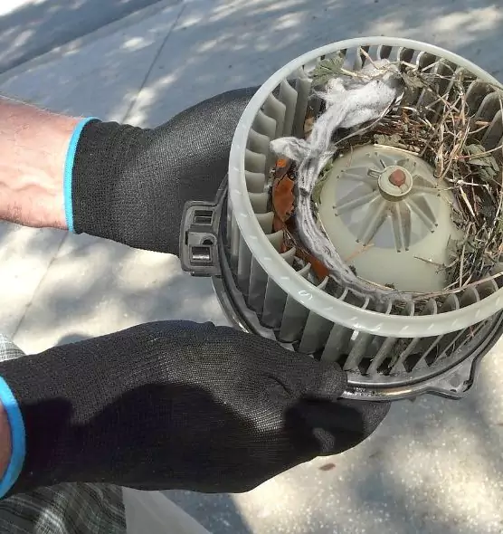 About Air Duct Mice Removal in Burton, MI