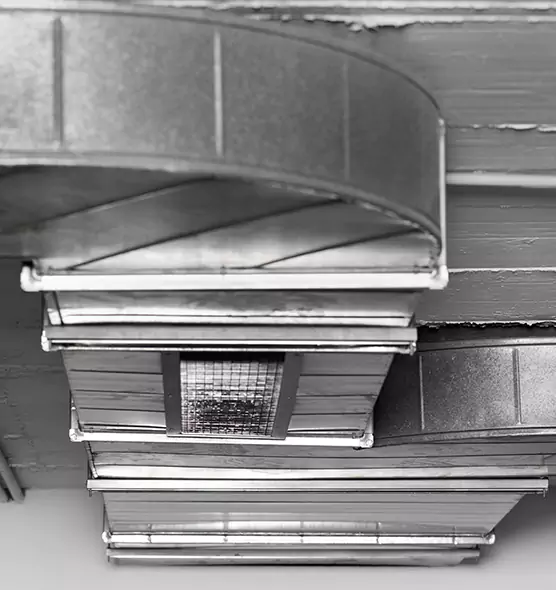 Professional Air Duct Pet Hair Removal in Burton, MI