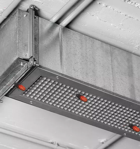 Affordable Insect Removal from Air Ducts in Burton, MI